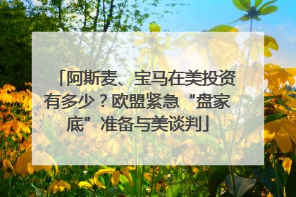 阿斯麦、宝马在美投资有多少？欧盟紧急“盘家底”准备与美谈判