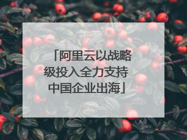 阿里云以战略级投入全力支持中国企业出海
