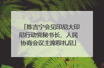 陈吉宁会见印尼大印尼行动党秘书长、人民协商会议主席穆扎尼