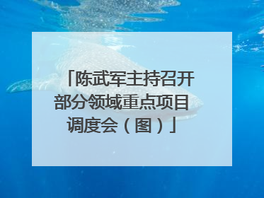 陈武军主持召开部分领域重点项目调度会（图）