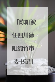 陈阳波任四川德阳绵竹市委书记