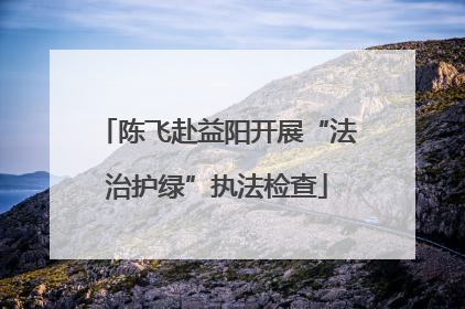 陈飞赴益阳开展“法治护绿”执法检查