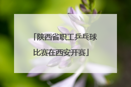 陕西省职工乒乓球比赛在西安开赛