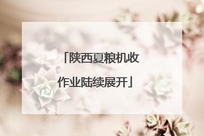 陕西夏粮机收作业陆续展开