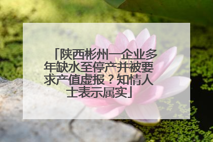 陕西彬州一企业多年缺水至停产并被要求产值虚报？知情人士表示属实