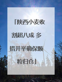 陕西小麦收割超八成 多措并举确保颗粒归仓