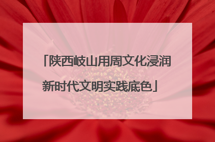 陕西岐山用周文化浸润新时代文明实践底色
