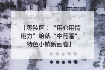 零陵区：“用心用情用力”绘就“中药香”特色小镇新画卷