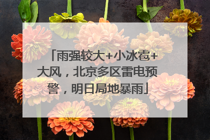 雨强较大+小冰雹+大风，北京多区雷电预警，明日局地暴雨