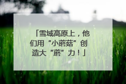 雪域高原上，他们用“小蘑菇”创造大“蘑”力！