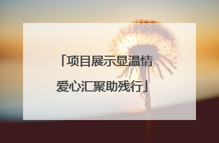 项目展示显温情 爱心汇聚助残行