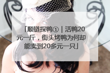 顺链探鸭①｜活鸭20元一斤，街头烤鸭为何却能卖到20多元一只