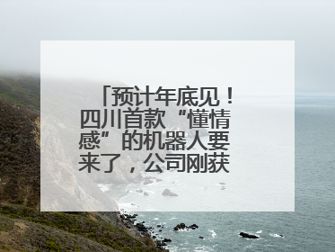 预计年底见！四川首款“懂情感”的机器人要来了，公司刚获数千万元融资