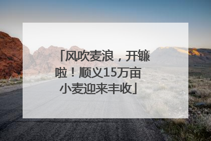 风吹麦浪，开镰啦！顺义15万亩小麦迎来丰收