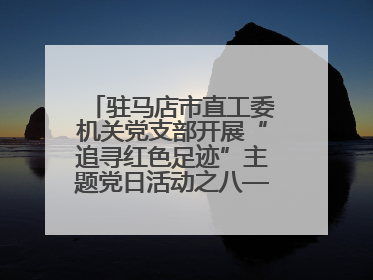 驻马店市直工委机关党支部开展“追寻红色足迹”主题党日活动之八——鏖战独树镇
