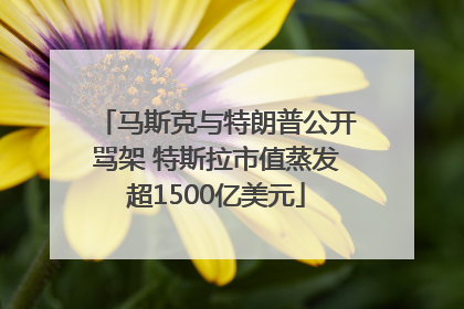 马斯克与特朗普公开骂架 特斯拉市值蒸发超1500亿美元
