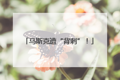 马斯克遭“背刺”！