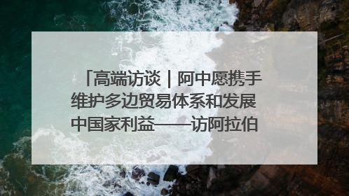 高端访谈｜阿中愿携手维护多边贸易体系和发展中国家利益——访阿拉伯议会议长亚马希