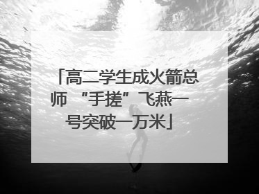 高二学生成火箭总师 “手搓”飞燕一号突破一万米