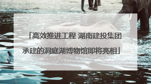 高效推进工程 湖南建投集团承建的洞庭湖博物馆即将亮相