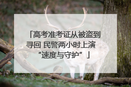 高考准考证从被盗到寻回 民警两小时上演 “速度与守护”