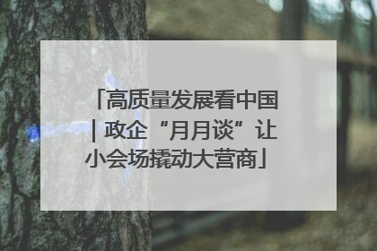 高质量发展看中国｜政企“月月谈”让小会场撬动大营商
