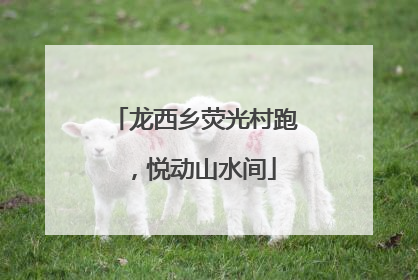 龙西乡荧光村跑，悦动山水间