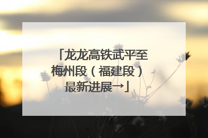 龙龙高铁武平至梅州段（福建段）最新进展→