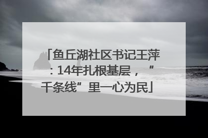 鱼丘湖社区书记王萍：14年扎根基层，“千条线”里一心为民