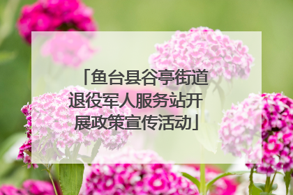 鱼台县谷亭街道退役军人服务站开展政策宣传活动