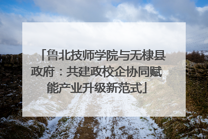 鲁北技师学院与无棣县政府：共建政校企协同赋能产业升级新范式