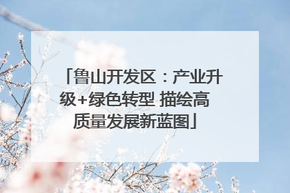 鲁山开发区：产业升级+绿色转型 描绘高质量发展新蓝图