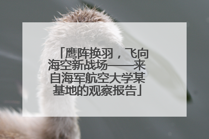 鹰阵换羽，飞向海空新战场——来自海军航空大学某基地的观察报告