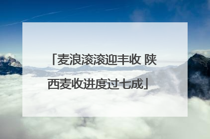 麦浪滚滚迎丰收 陕西麦收进度过七成