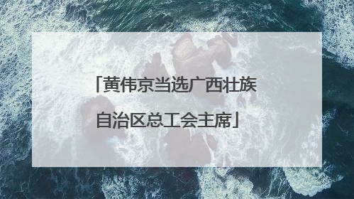 黄伟京当选广西壮族自治区总工会主席
