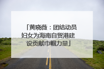 黄晓薇：团结动员妇女为海南自贸港建设贡献巾帼力量