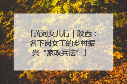 黄河女儿行｜陕西：一名下岗女工的乡村振兴“家政兵法”
