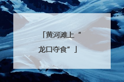 黄河滩上“龙口夺食”