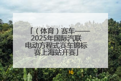 （体育）赛车——2025年国际汽联电动方程式赛车锦标赛上海站开赛