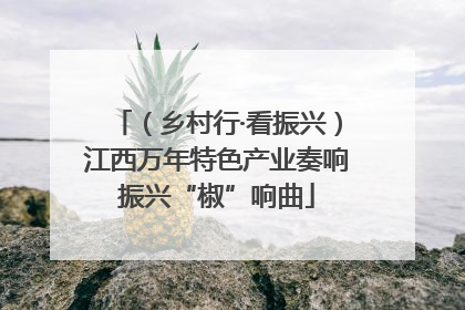 （乡村行·看振兴）江西万年特色产业奏响振兴“椒”响曲