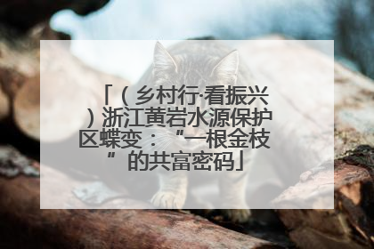 （乡村行·看振兴）浙江黄岩水源保护区蝶变：“一根金枝”的共富密码