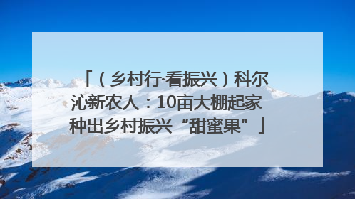 （乡村行·看振兴）科尔沁新农人：10亩大棚起家种出乡村振兴“甜蜜果”