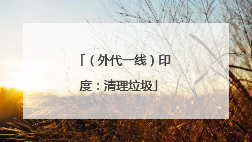 （外代一线）印度：清理垃圾