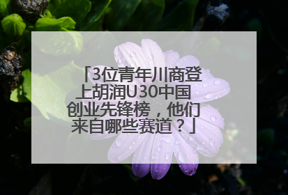 3位青年川商登上胡润U30中国创业先锋榜，他们来自哪些赛道？