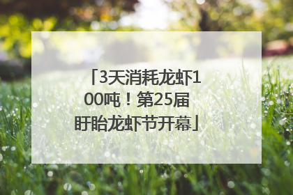 3天消耗龙虾100吨！第25届盱眙龙虾节开幕