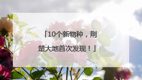 10个新物种，荆楚大地首次发现！