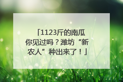1123斤的南瓜你见过吗？潍坊“新农人”种出来了！