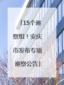 15个巡察组！安庆市发布专项巡察公告