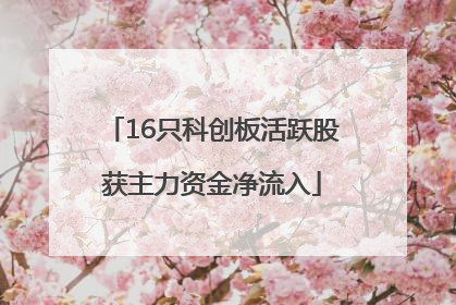 16只科创板活跃股获主力资金净流入