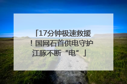 17分钟极速救援！国网石首供电守护江豚不断“电”